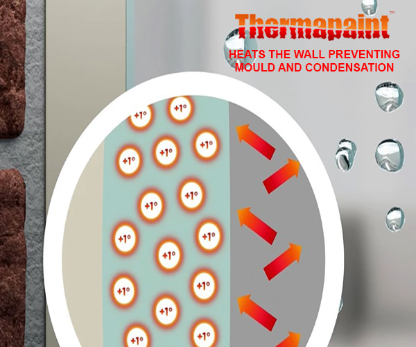 Thermapaint Anti Mould Paint - Mould Resistant Paint for Condensation